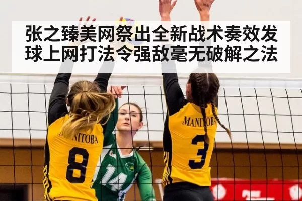 张之臻美网祭出全新战术奏效发球上网打法令强敌毫无破解之法